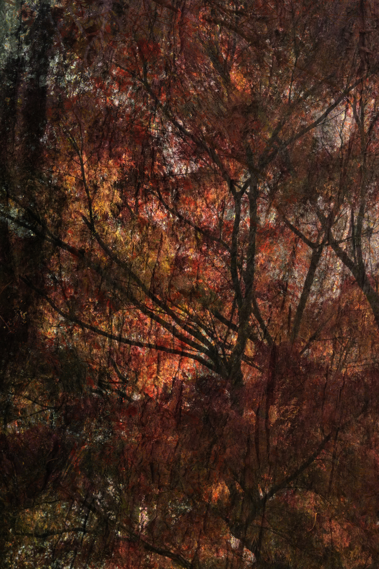 autumntrees