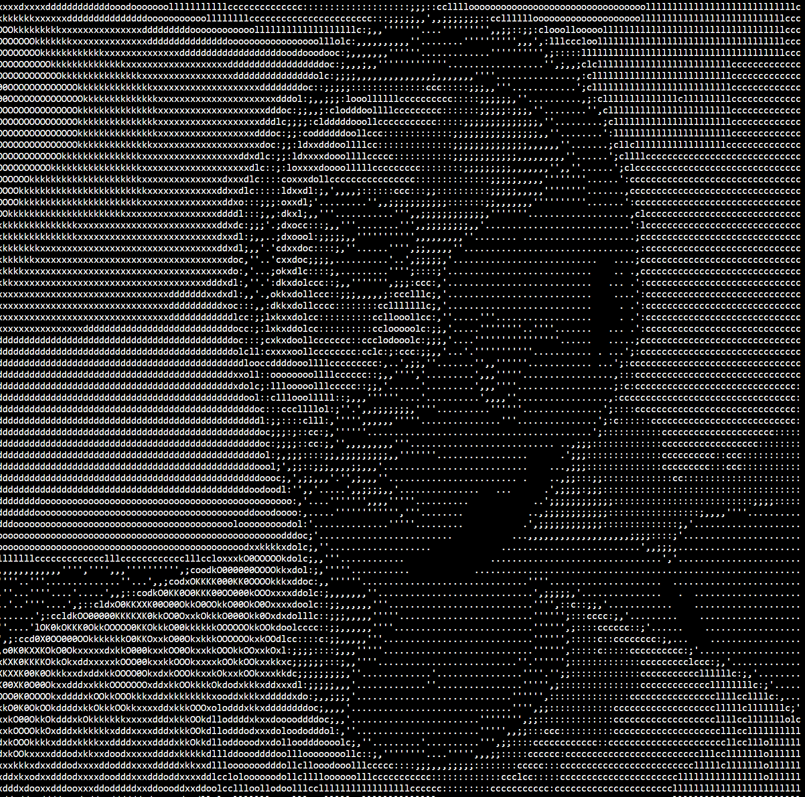 ASCII Image